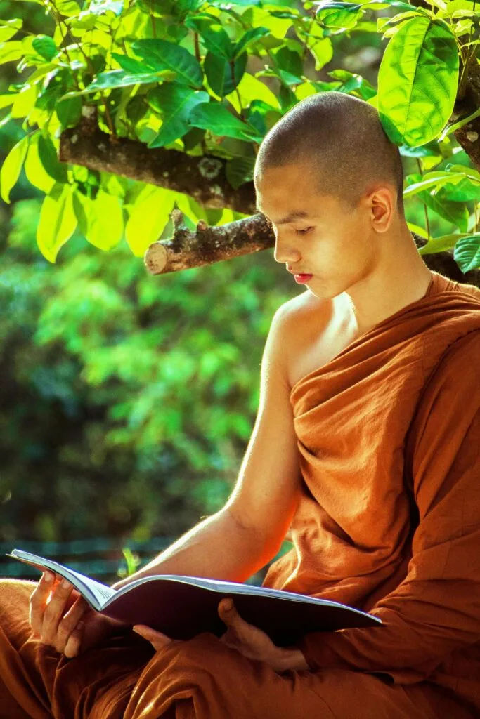 how reading books changed